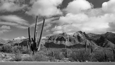 Snow in Tucson